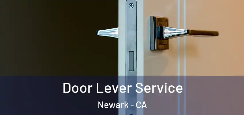  Door Lever Service Newark - CA