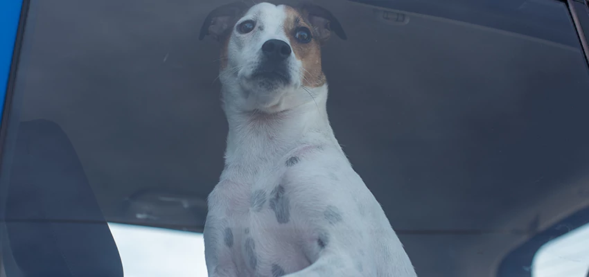 Car Lockout Solutions in Newark, California