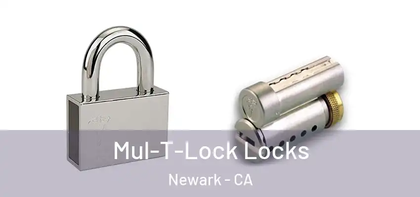  Mul-T-Lock Locks Newark - CA