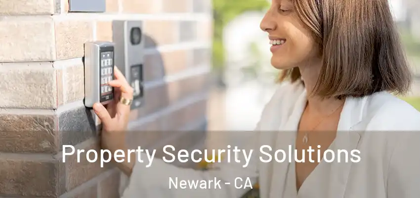 Property Security Solutions Newark - CA